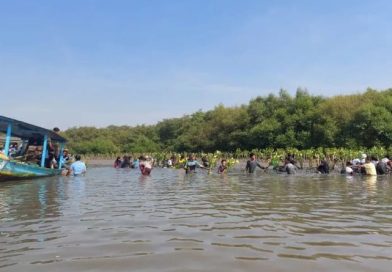 Pelajar Tanam Mangrove di Muara Sungai Gununganyar